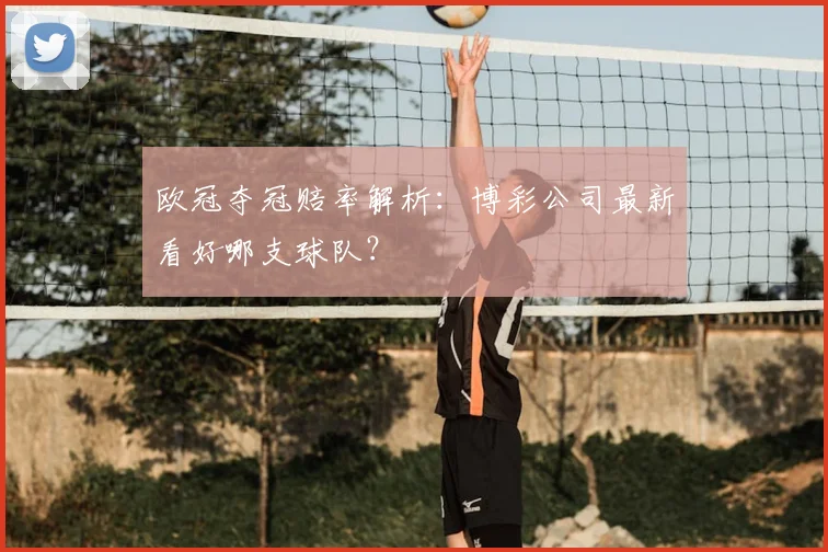 欧冠夺冠赔率解析:博彩公司最新看好哪支球队?