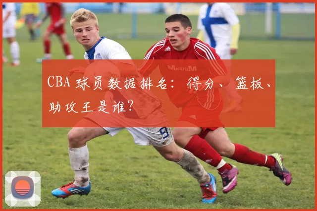 CBA 球员数据排名:得分、篮板、助攻王是谁?