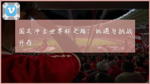 国足冲击世界杯之路：机遇与挑战并存